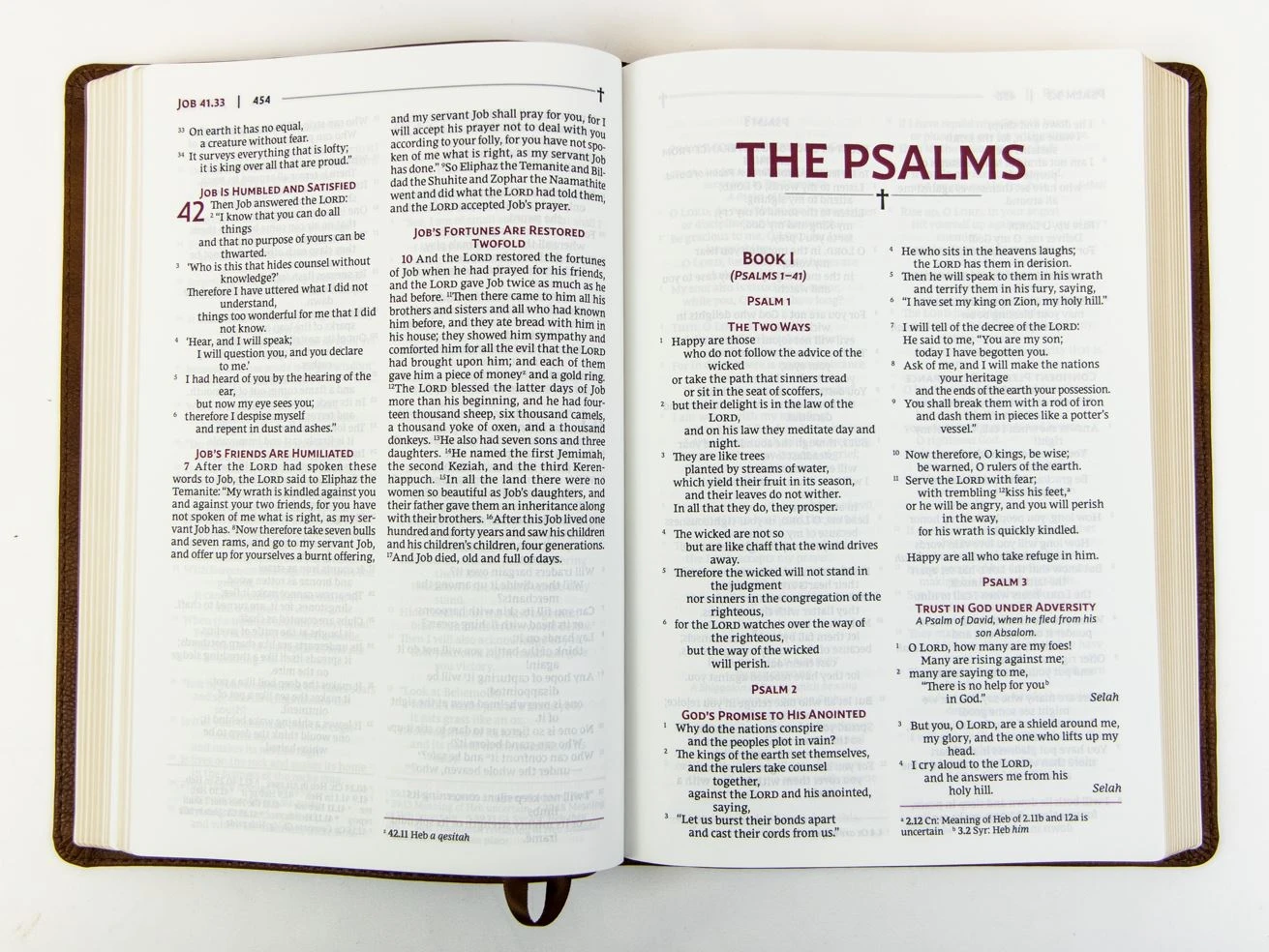 NRSVUE Holy Bible With Apocrypha, Leathersoft, Brown 4 NRSVUE Holy Bible With Apocrypha, Leathersoft, Brown - Image 2