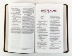 NRSVUE Holy Bible With Apocrypha Personal Size, Brown -Books Shop 226 0016 2