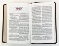 NRSVUE Holy Bible With Apocrypha Personal Size, Brown -Books Shop 226 0016 3