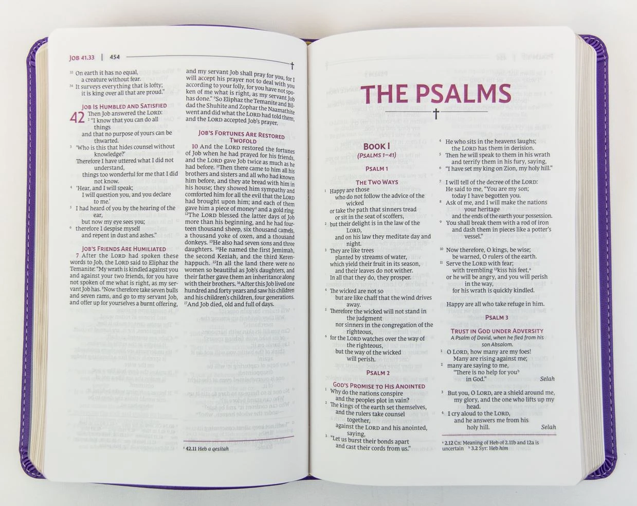 NRSVUE Holy Bible, Personal Size, Leathersoft, Purple, Comfort Print 4 NRSVUE Holy Bible, Personal Size, Leathersoft, Purple, Comfort Print - Image 2