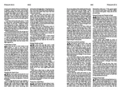 NLV Unique Bible For Teen Girls -Books Shop 226 0029 2