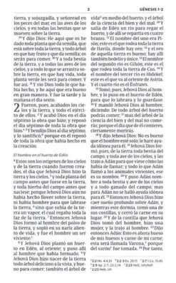 RVR 1960 Biblia Vencedores -Books Shop 226 0032 4