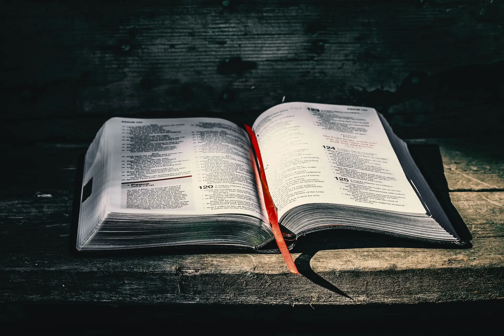 Books Shop -Books Shop timothy eberly MImb8jYqA4g unsplash